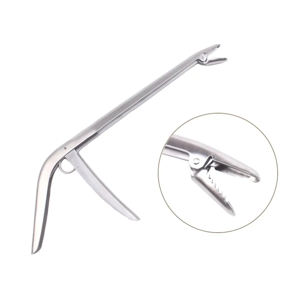 SANLIKE الفولاذ المقاوم للصدأ  - مراجعة Fishing Hook Stainless Steel وسعره