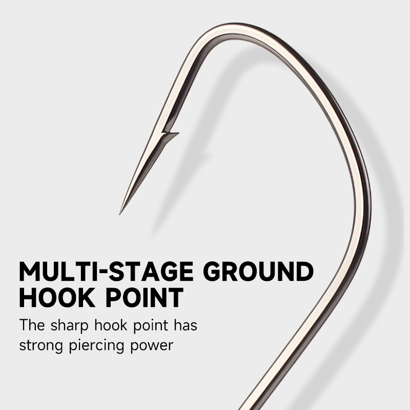 القارة العملاقة 2 # -12 #   10 - مراجعة Fishing Hook Assortment وسعره